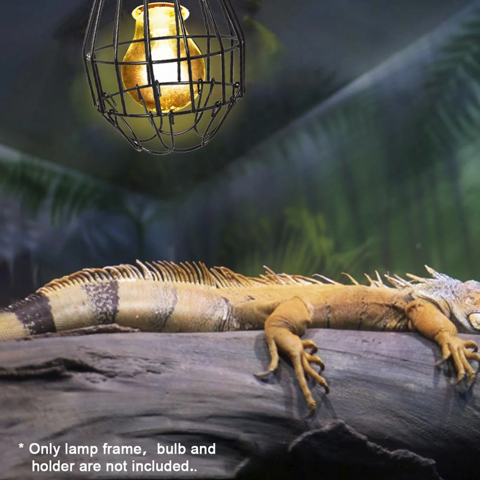 Reptilien Heizung Anti Verbrühungen Lampenschirm Heizung Lampe Heizung – Bild 5