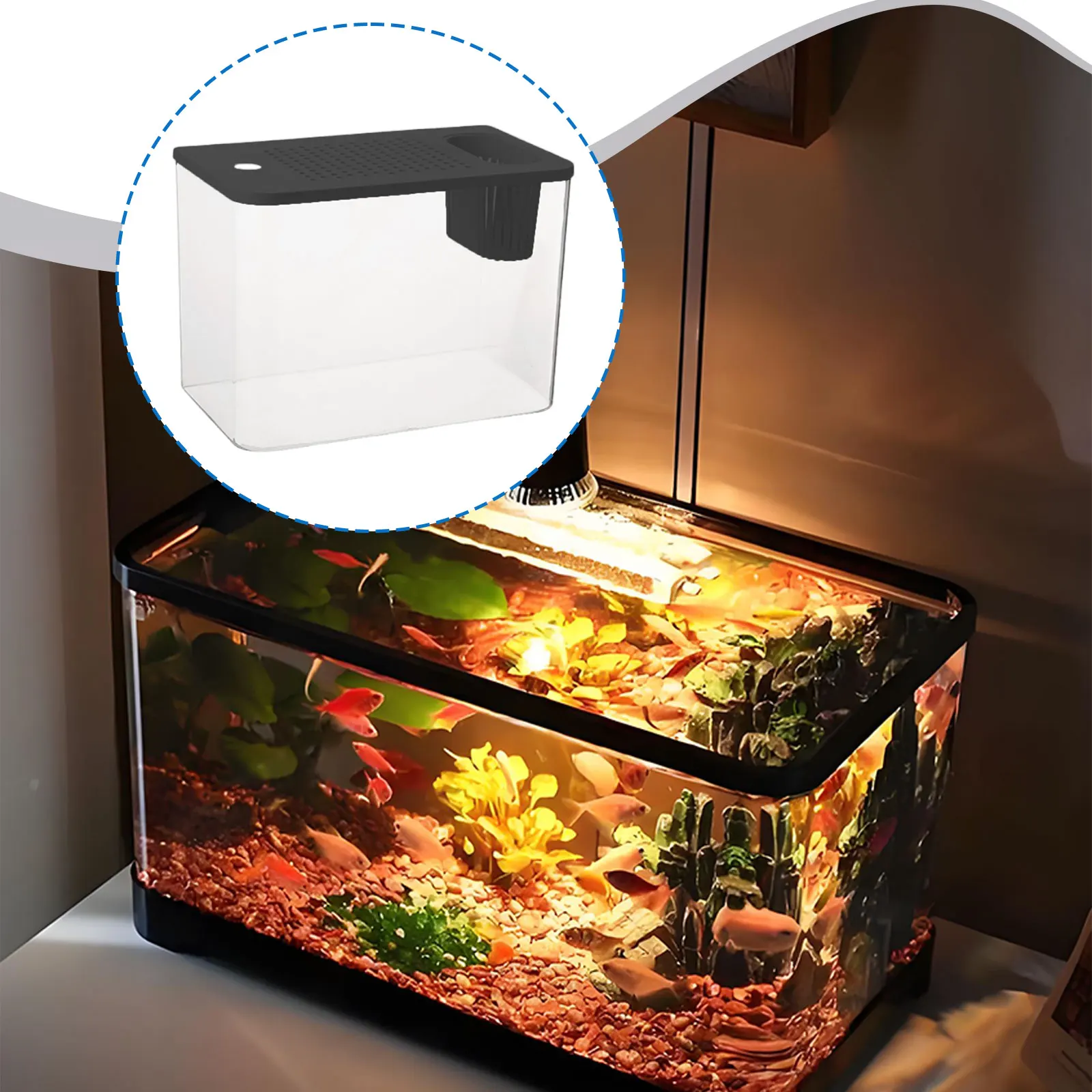 Reptilien-Terrarium, klare Sicht, Zuchtstank, Lebensraumkäfig, kleine – Bild 5