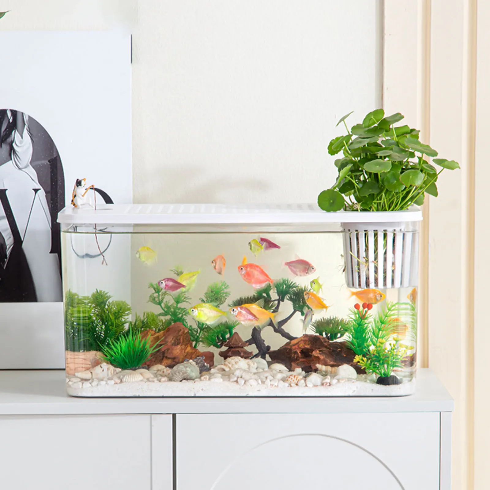 Reptilien-Terrarium, klare Sicht, Zuchtstank, Lebensraumkäfig, kleine – Bild 4