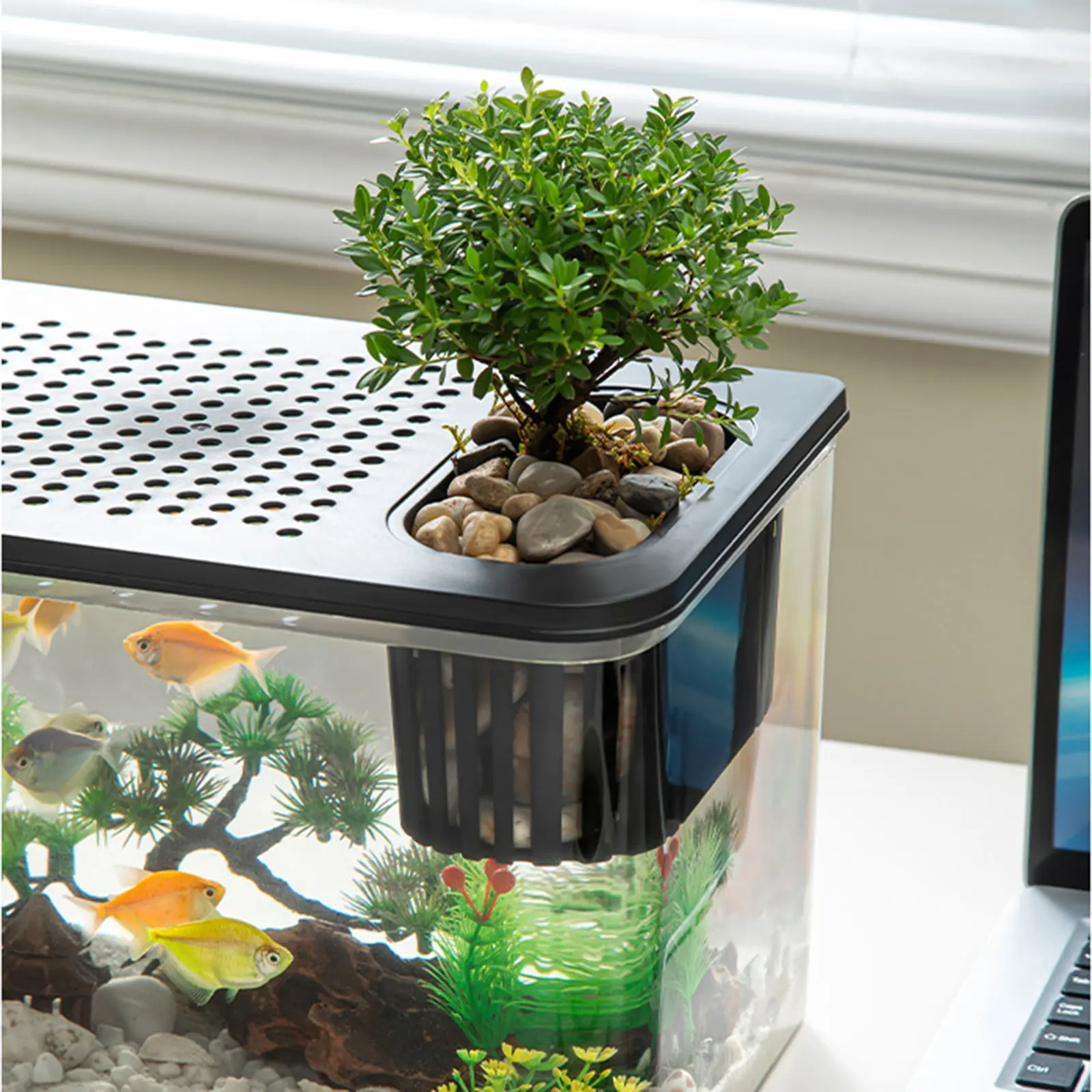 Reptilien-Terrarium, klare Sicht, Zuchtstank, Lebensraumkäfig, kleine – Bild 3