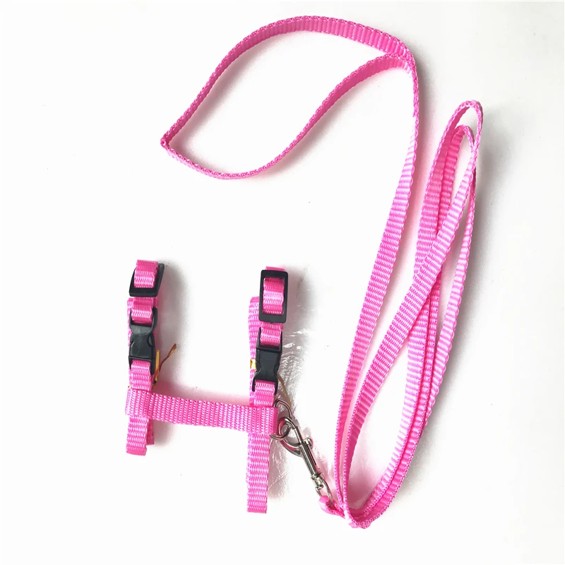 Haustier Katze Kragen Geschirr Und Leine Einstellbare Nylon Pet – Bild 6