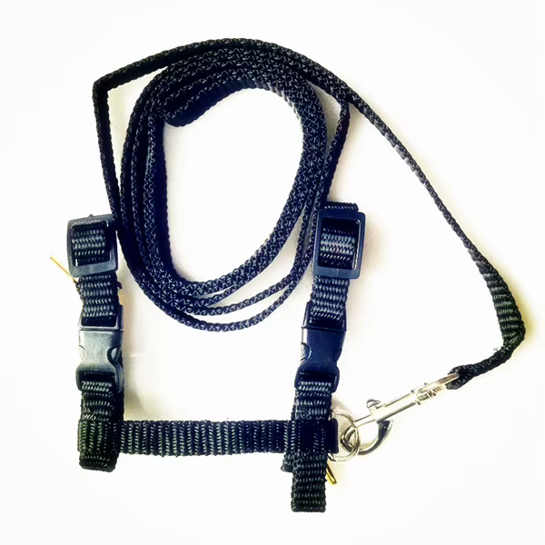 Haustier Katze Kragen Geschirr Und Leine Einstellbare Nylon Pet Traktion Hund Kätzchen Halfter Kragen Katzen