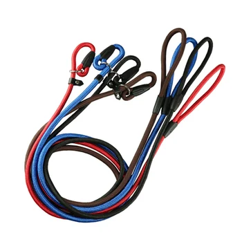 130cm Robuste Nylon-Hundeleine, Verstellbares Hundehalsband mit Leine für Kleine Hunde, Welpentraining