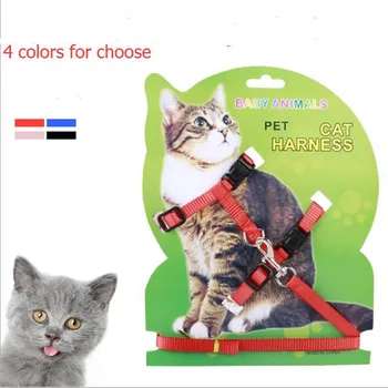 Haustier Katze Kragen Geschirr Und Leine Einstellbare Nylon Pet Traktion Hund Kätzchen Halfter Kragen Katzen