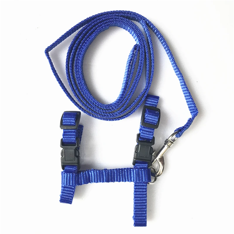 Haustier Katze Kragen Geschirr Und Leine Einstellbare Nylon Pet – Bild 4