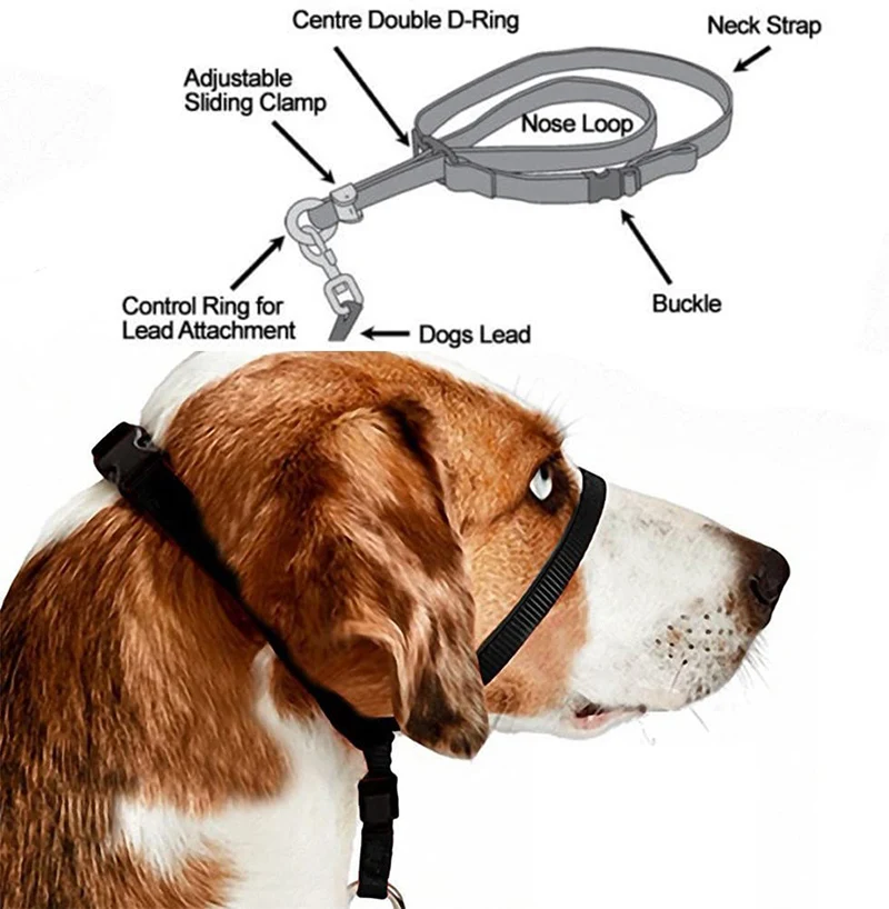 Verstellbares Nylon-Hundehalsband, gepolstertes Kopfgeschirr, sanftes – Bild 4