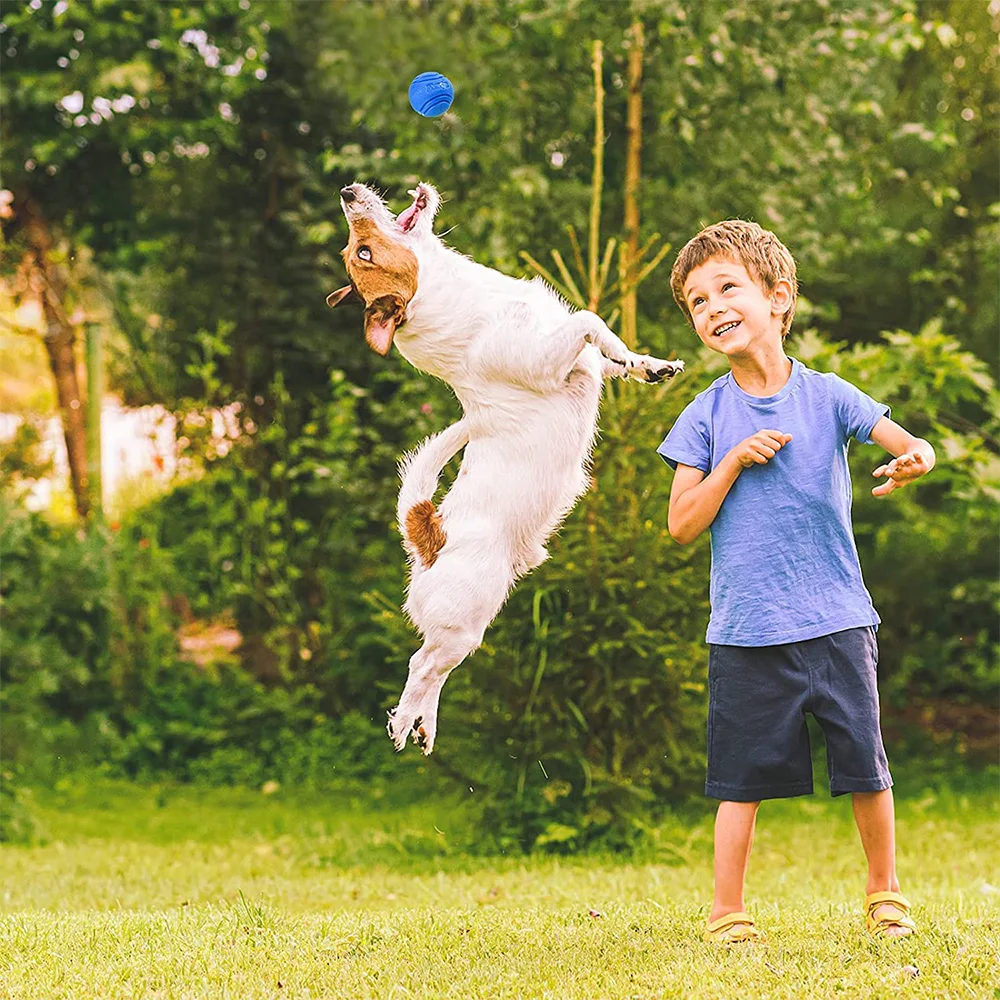 Haustier-Hundespielzeug, Hundeball, Hüpfburg, Gummi, fester Ball – Bild 4