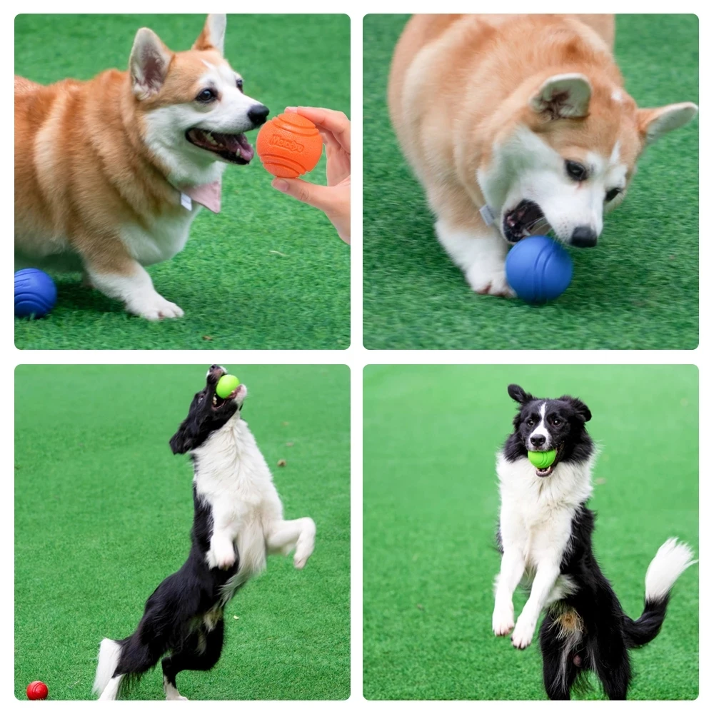 Haustier-Hundespielzeug, Hundeball, Hüpfburg, Gummi, fester Ball – Bild 3