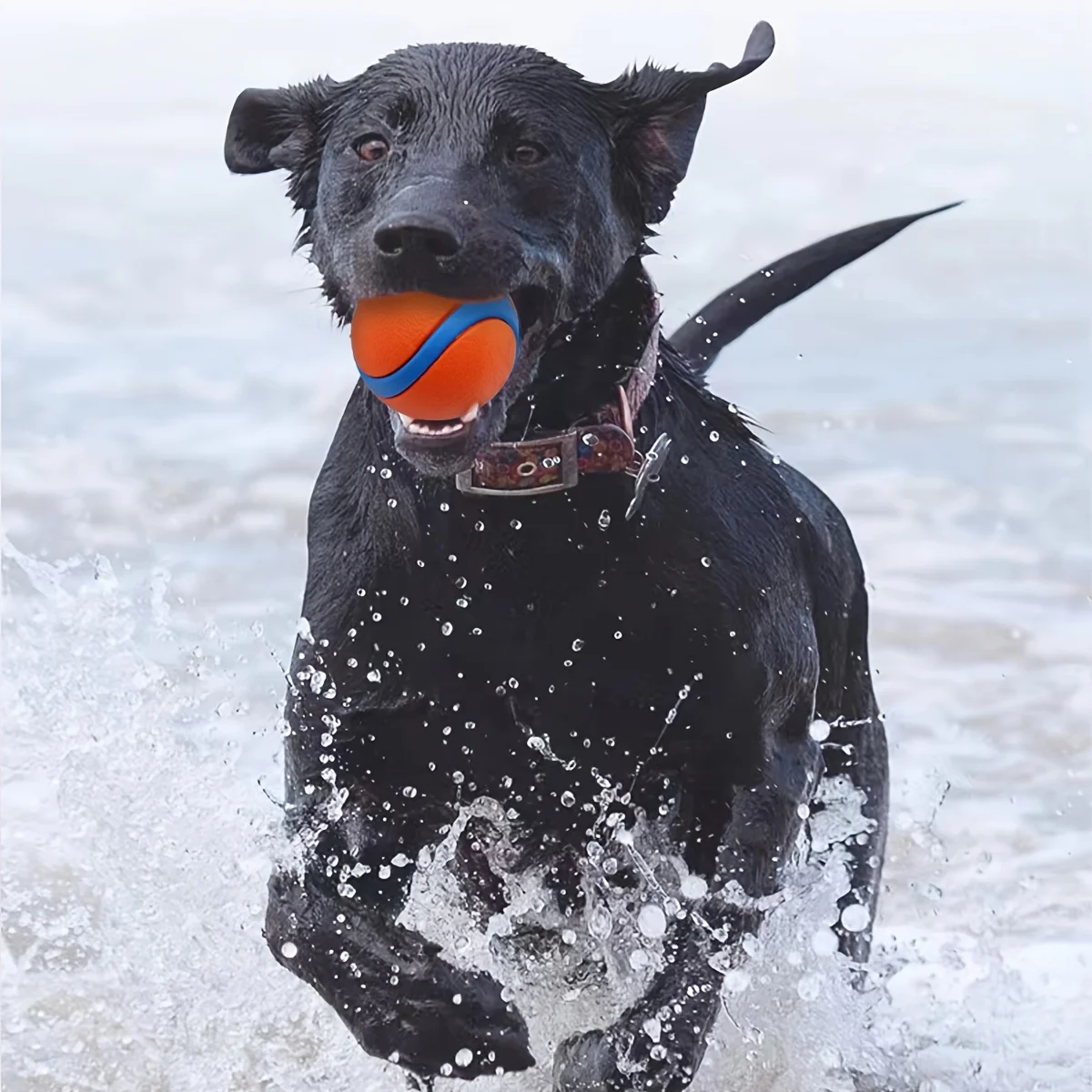 Robuster Kauball für Hunde aus Silikon - interaktives – Bild 4