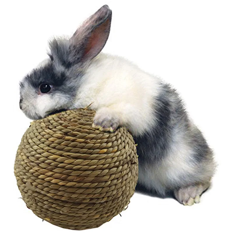 6/10 cm Kauen Geflochtene Ball Meerschweinchen Kaninchen Hamster Kleine Tier Spielen Haustier Interaktive