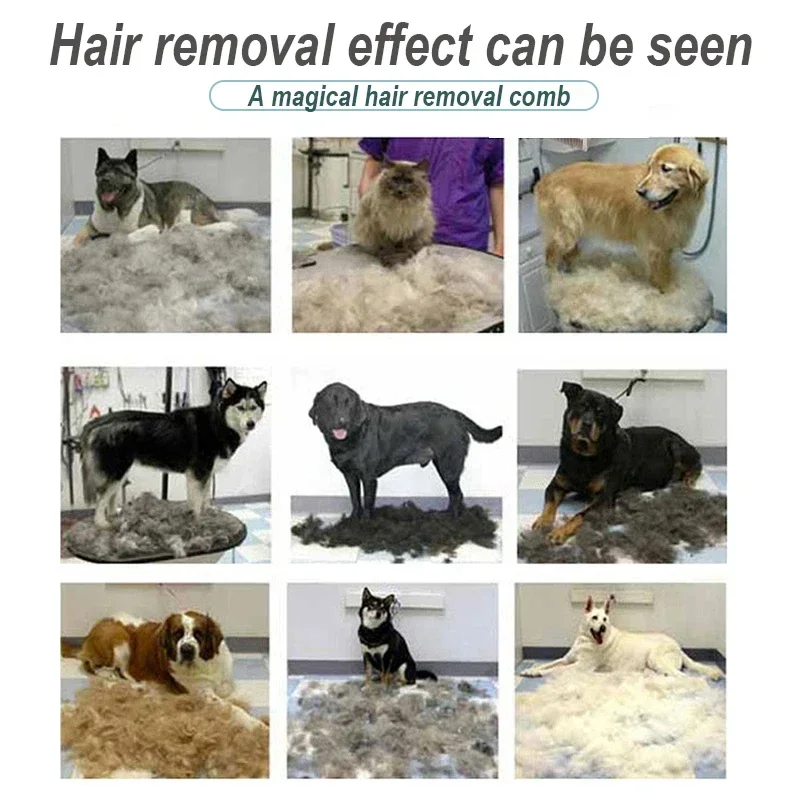 Haustierbürste für Hunde, Katzen, Hundekamm – Bild 5