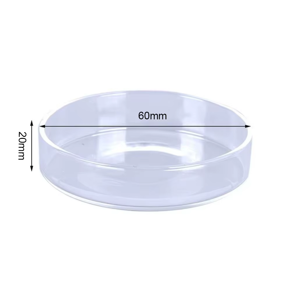 Glas-Aquarium-Futterschale Transparente Runde Schale Fischfutter-Spender Langlebiger