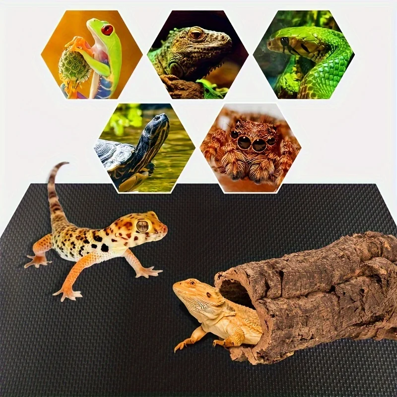 Matte für Reptilien-Terrarien, Geeignet für Amphibien, Entwickelt – Bild 5