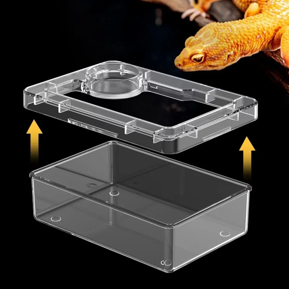 Futternäpfe für Reptilien-Eidechsen, Geckos, verhindern Tenebrio – Bild 3