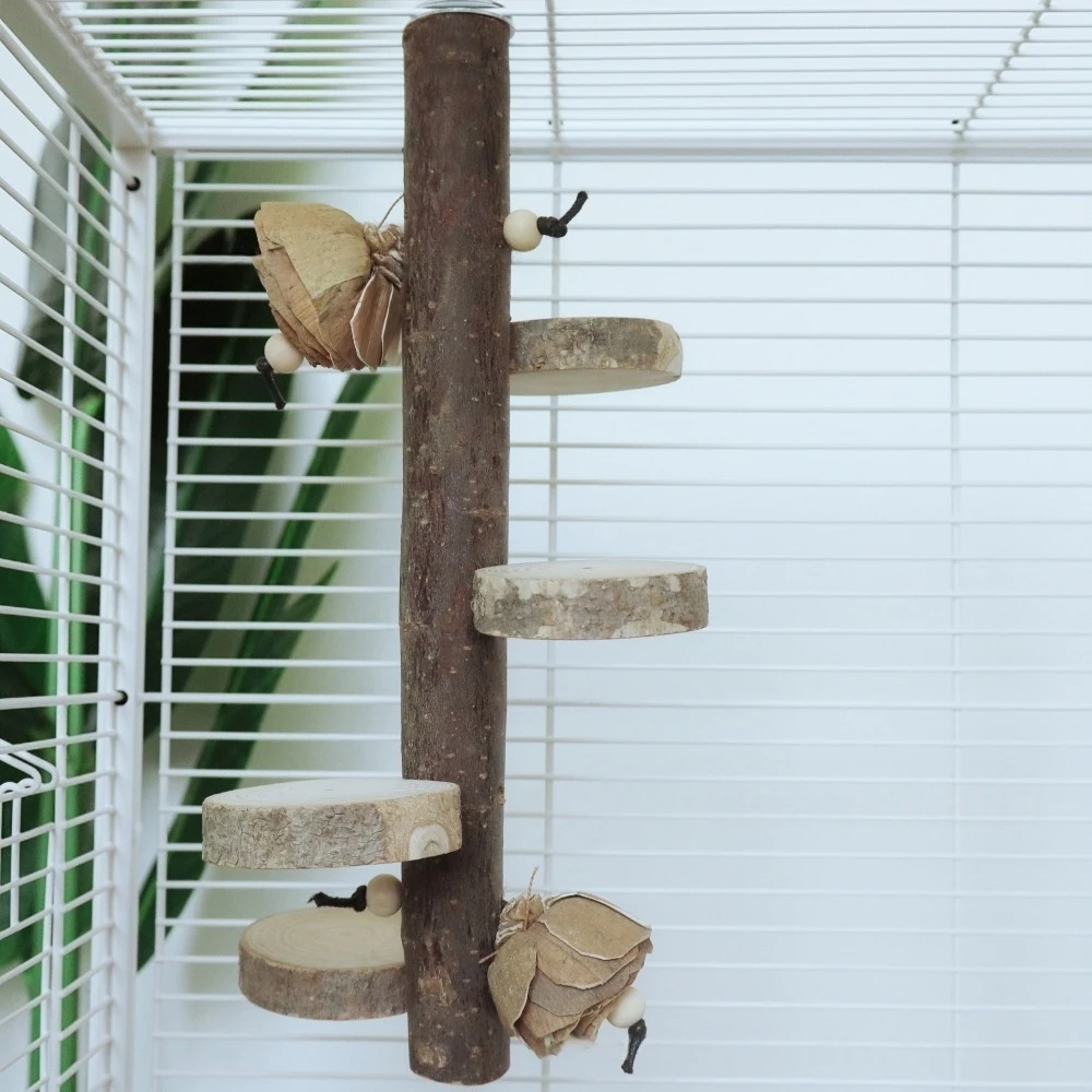 Naturholz-Papageienstange, Vogelkäfigständer, Krallen – Bild 5