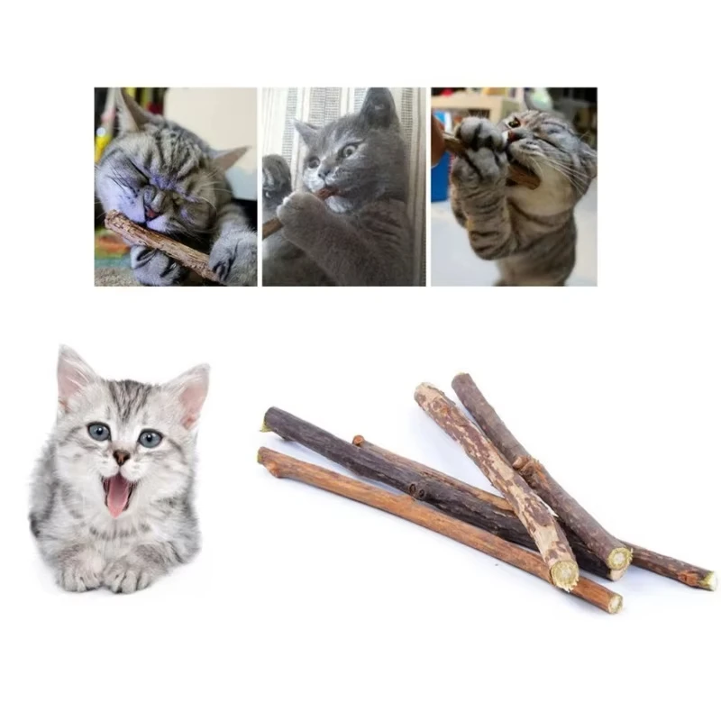 Katzenminze-Kaustäbchen 20 Stück, Natürliche – Bild 5