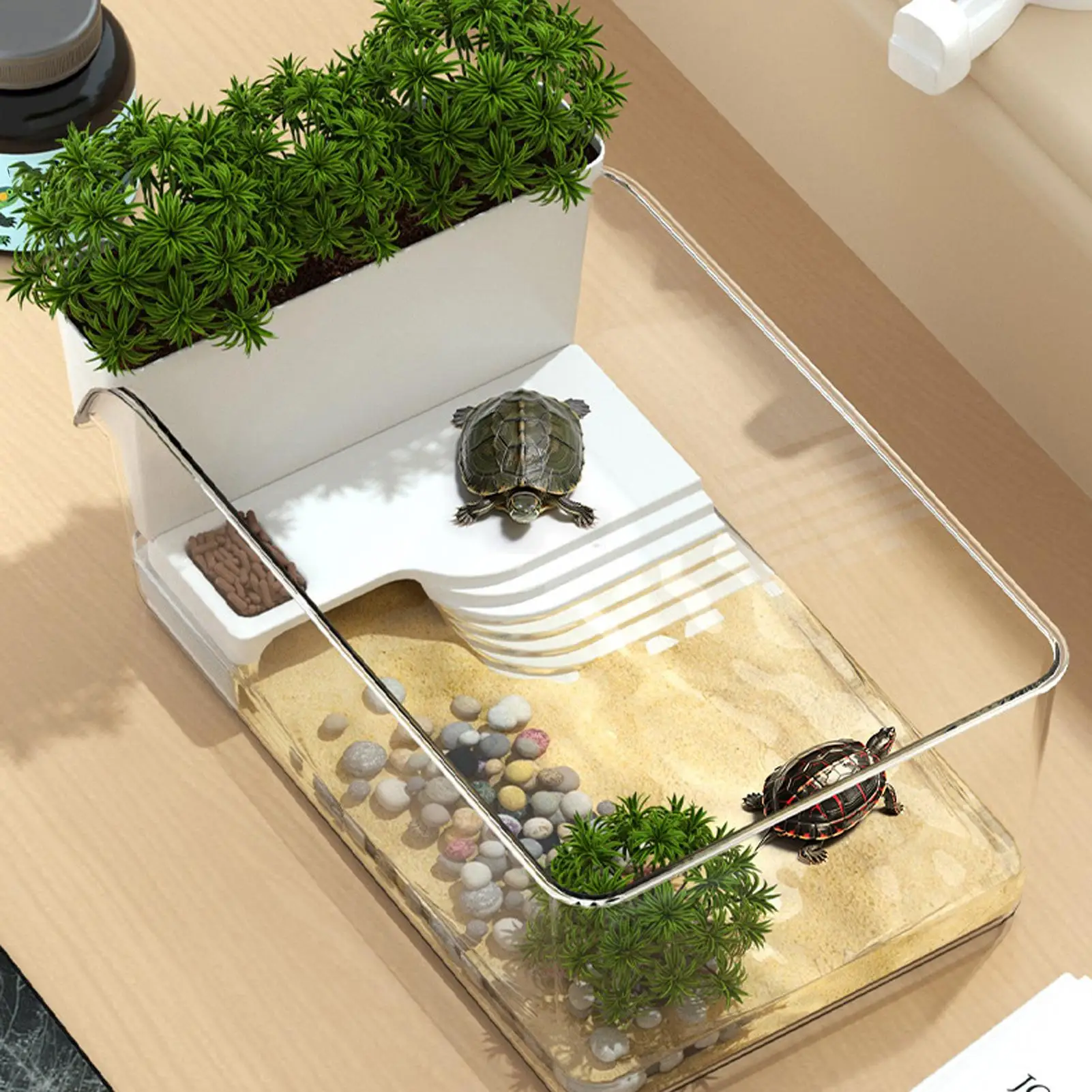 Schildkrötenpanzer mit Sonnenbereich, transparentes – Bild 4