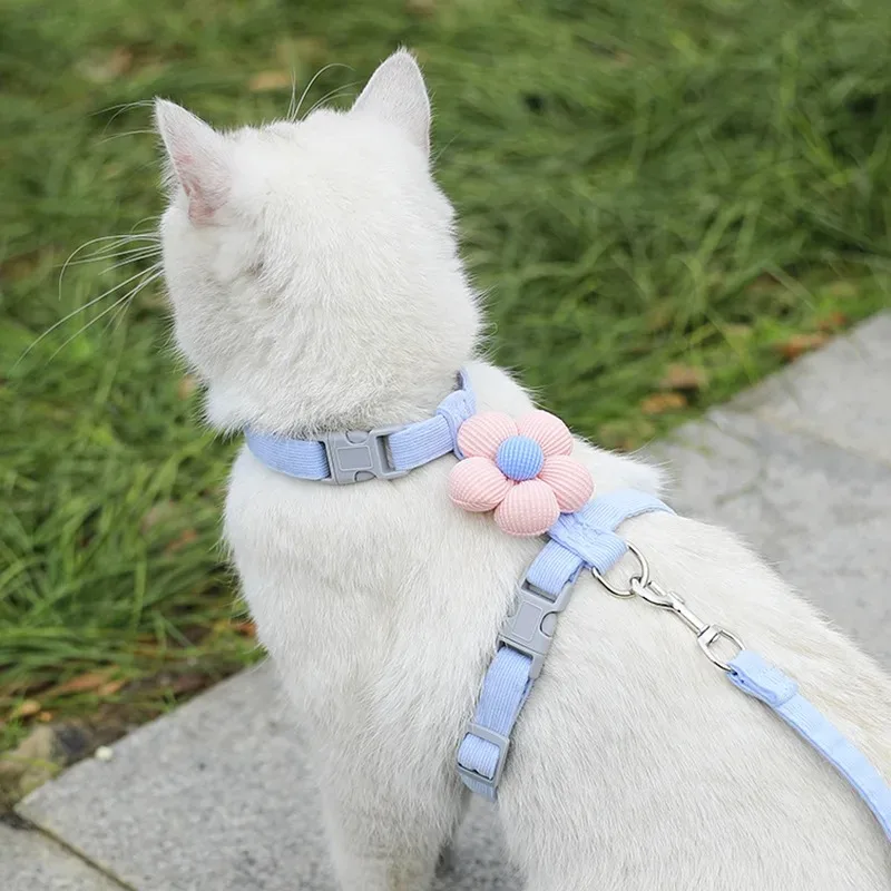 Katzen-Geschirr- und Leinen-Sets, verstellbares Hundegeschirr – Bild 4