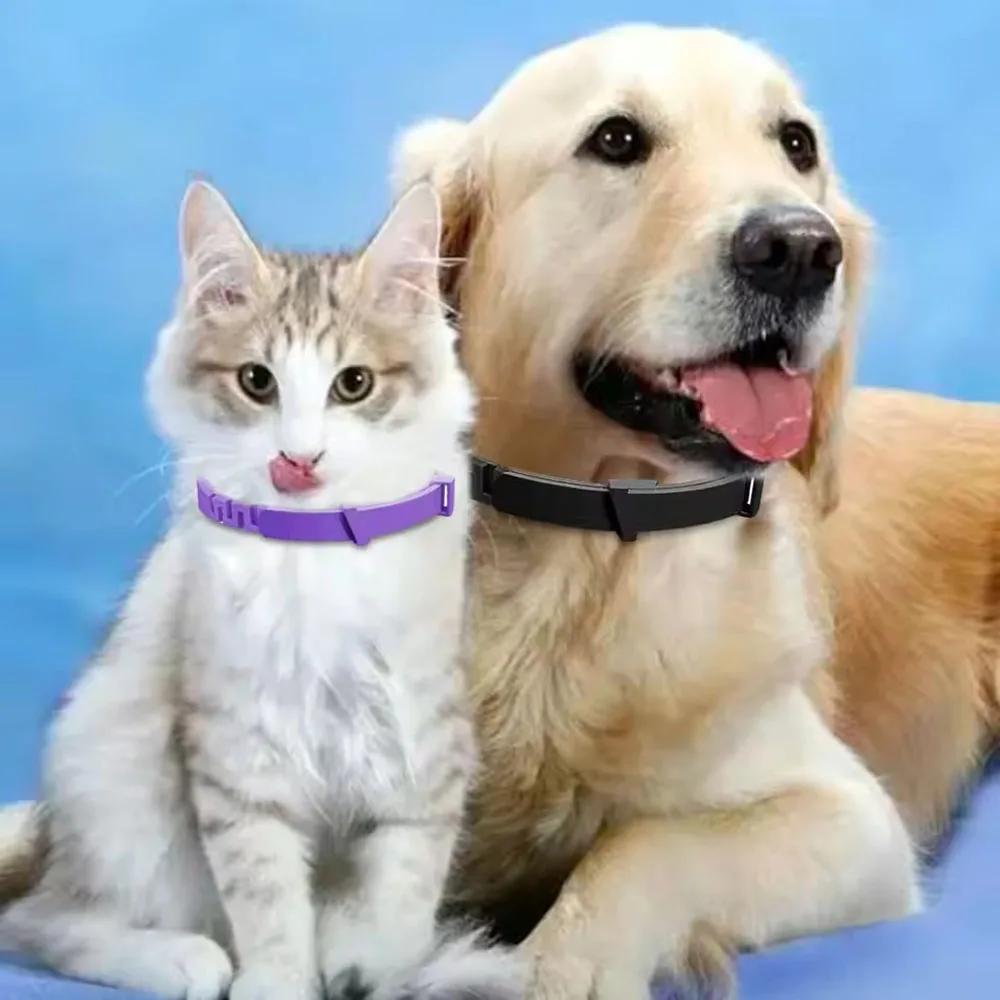 Verstellbares Kunststoff-Hundehalsband, wasserdicht, für Haustiere, Katzen, Welpenhalsband