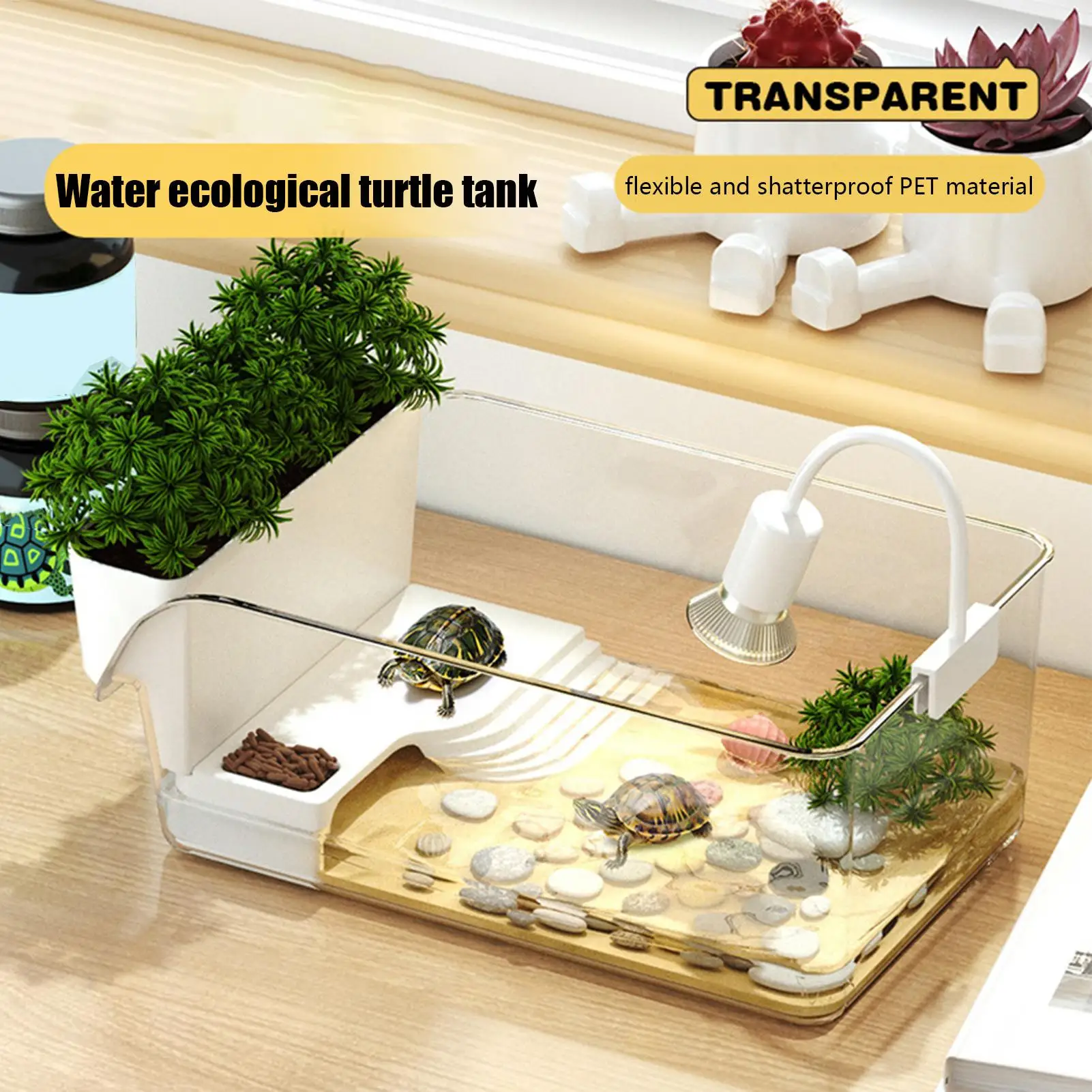 Schildkrötenpanzer mit Sonnenbereich, transparentes – Bild 3