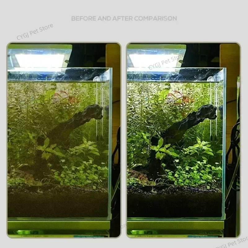 Aquarium Reinigung Werkzeug Flache Sand Algen Entfernung Dual-use-Glas – Bild 3