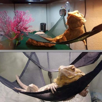 Reptilien-Hängematten-Liege, Leiter-Zubehör-Set für große, kleine, bärtige Drachen, Anole, Geckos, Eidechsen