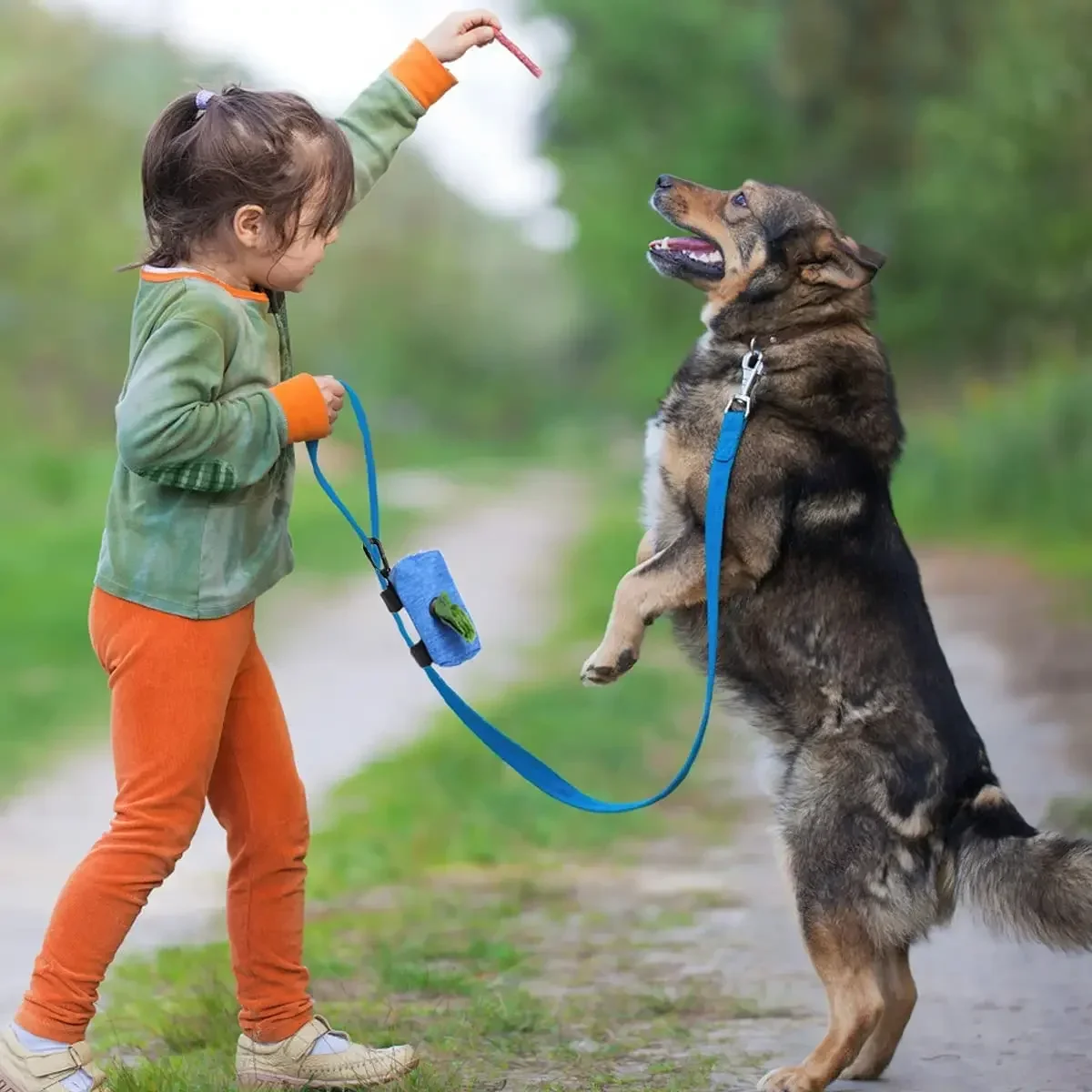 Haustier Hund Kotbeutel Spender Aufbewahrungstasche Produkte Haustier – Bild 5