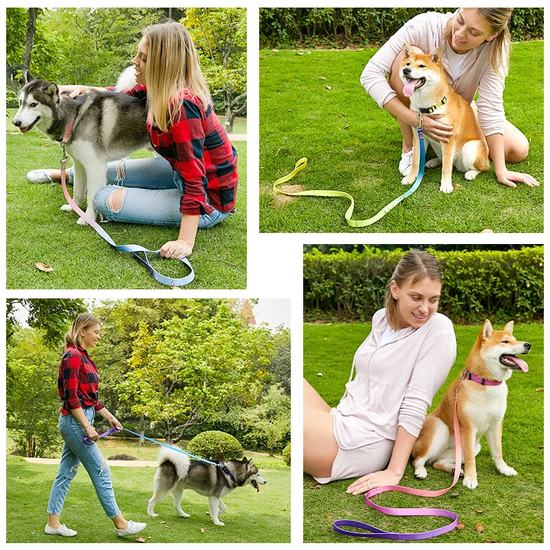 Verstellbares Nylon-Hundehalsband mit Leine, geeignet für kleine – Bild 3