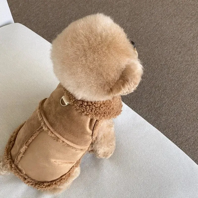 Hundebedarf, Zubehör, Haustiere, Acessorios, Chihuahua, Bekleidung – Bild 3