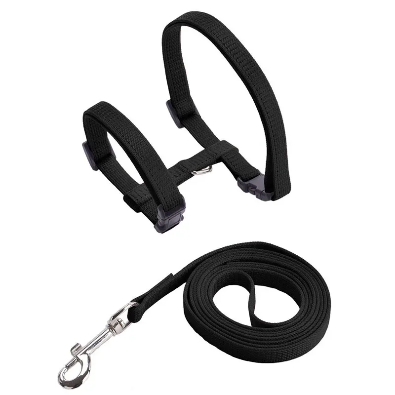 Kätzchen-Katzengeschirr, Leine-Set, zum Gehen, auslaufsicher, verstellbares Nylon-Neckholder-Geschirr