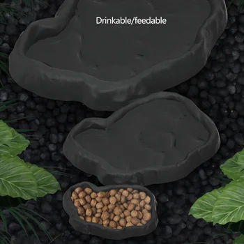 Crawler Pet Feeder Becken Reptilien Amphibien Trinken Feeder Schildkröte Skorpion Eidechse Krabben Schüssel