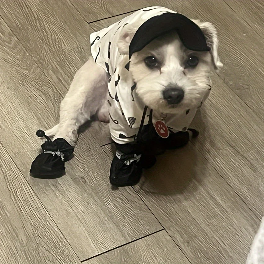 Wasserabweisende Hundeschuhe für kleine Hunde - schützen Sie (4 Stück) – Bild 4