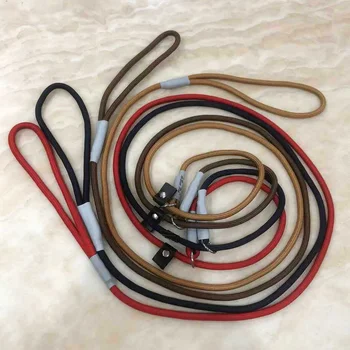 Verstellbare Nylon-Gehleine für Hunde mit gepolstertem, weichem Griff, abtrünnige Leine, ziehendes Halsband