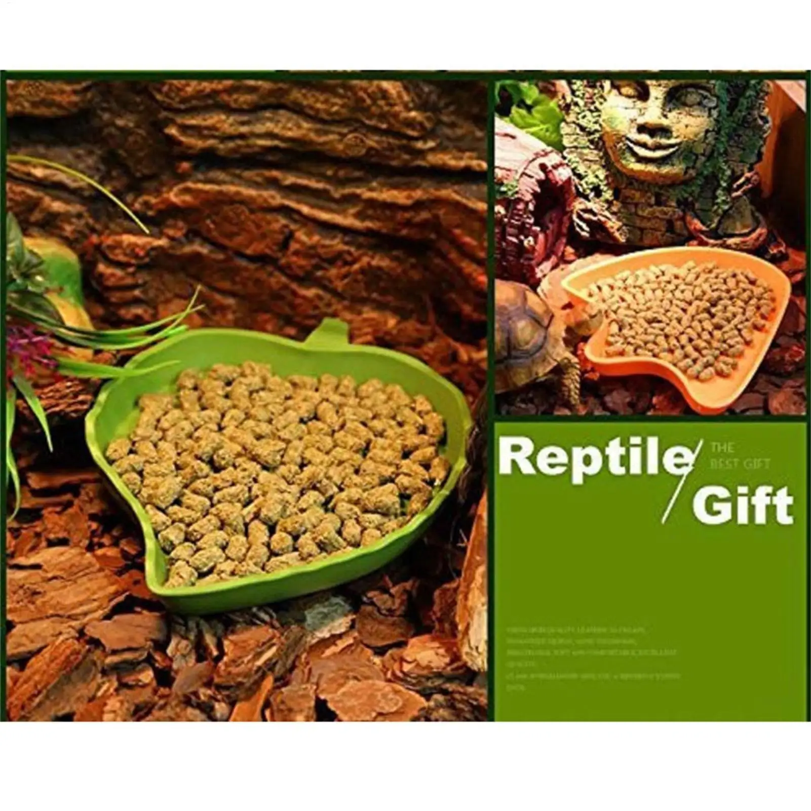 Blattförmiger Futternapf für Reptilien, Futter- und Wasserschale – Bild 5