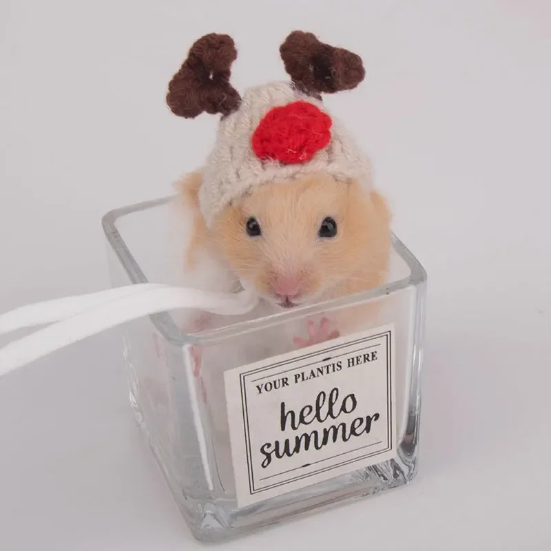 Handgemachte Strick mütze Hamster niedliche Kopf bedeckung Chipmunk – Bild 6