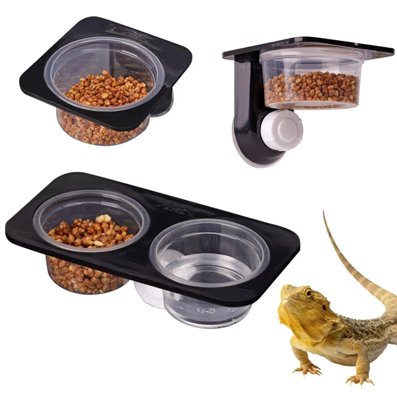 Futternäpfe für Reptilien und Amphibien, Eidechse, Gecko, Saugnapf, Futternäpfe, Futterbehälter mit Schüssel