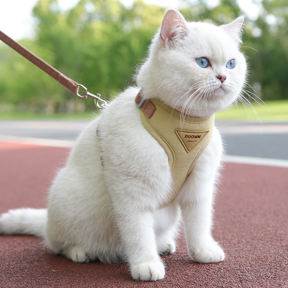 Outdoor-Walking-Zubehör für Katzen und Welpen, modisches Haustiergeschirr und Leine-Set für kleine Hunde
