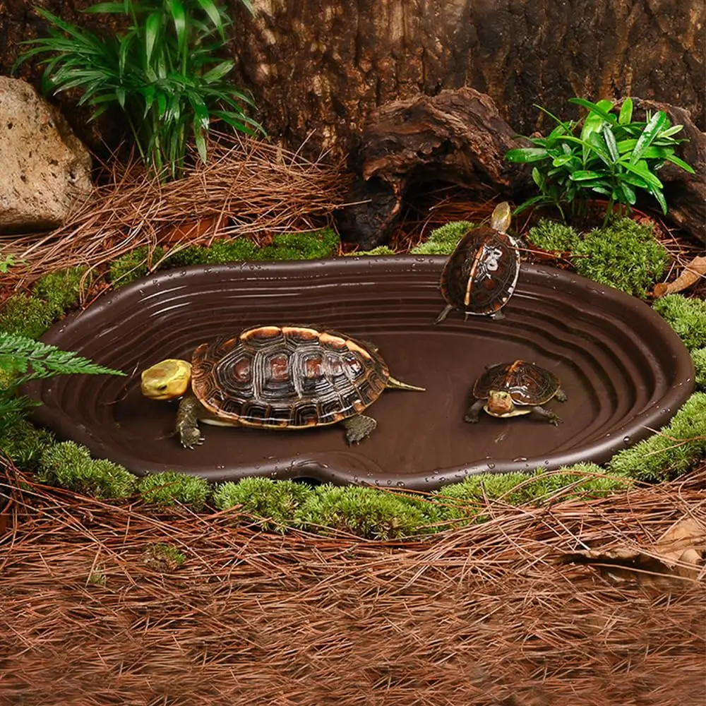 Reptilien-Badeschale, Amphibien-Lebensraum – Bild 4