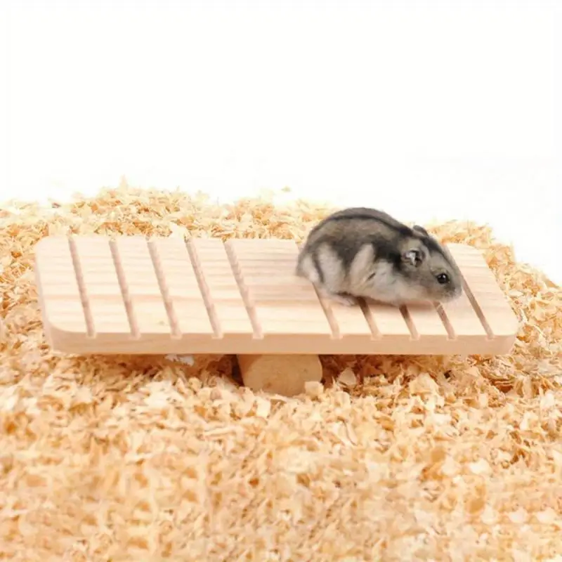 Haustierzubehör Meerschweinchen Kleintier-Spielzeug Tragbares Lustiges – Bild 4
