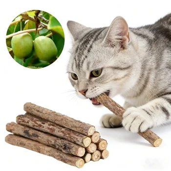 Katzenminze-Kaustäbchen 20 Stück, Natürliche Holzminze-Katzenspielzeuge - zur Zahnreinigung & Unterhaltung