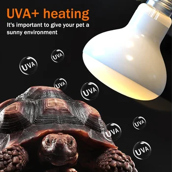 25-100W Reptil Wärme Lampen UVA Tageslicht Sonnen Spot Licht Amphibien Sonnen Glühbirnen Wärme Lampen Wärme