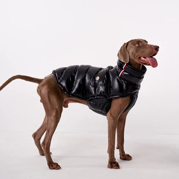 PawDream Hundekleidung Regenmantel für kleine und große Hunde Windmantel Windjacke Französische Bulldogge