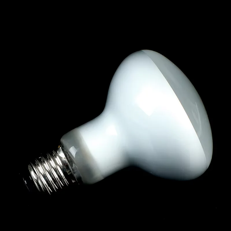 40 W 50 W 75 W 100 W UVA Reptil Lampe Schildkröte Sonnen Glühbirnen – Bild 3