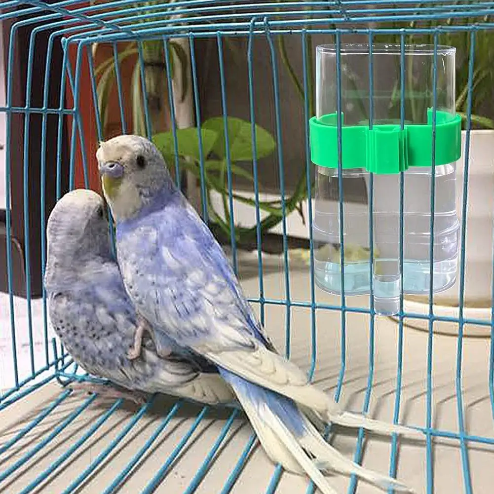 Automatischer Vogelwasserspender, Vogeltrink-Futterspender – Bild 6
