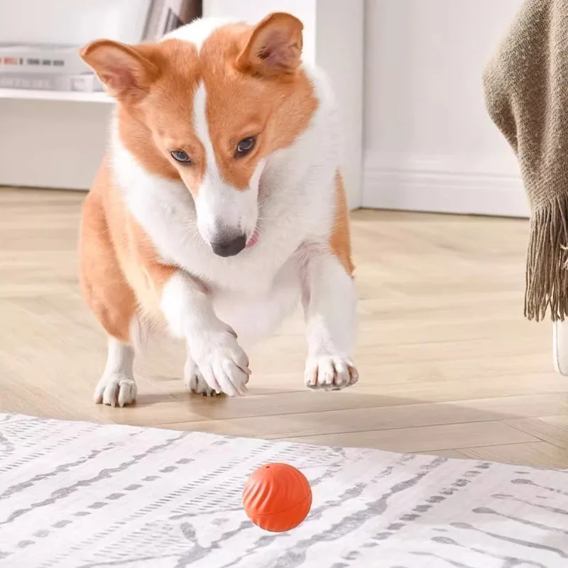 Haustier Spielzeug Ball Automatische Moving Hund Spielzeug Ball Smart – Bild 5
