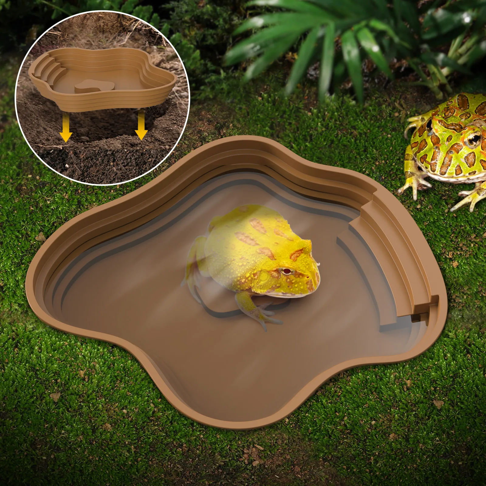 Schildkröten-Badebecken, Frosch-Badebecken, kann auch als Futterschale und Wasserschale verwendet werden