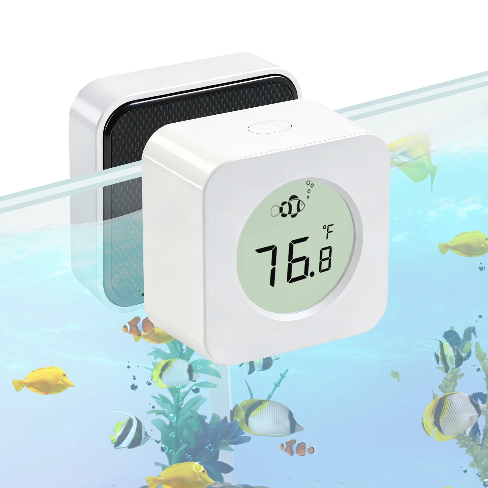 Nano Aquarium Magnetischer Algenschaber, Eingebautes Hochpräzises Digitales Aquarium-Thermometer, 2-in-1