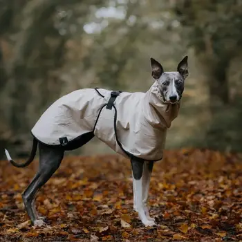 Modischer Regenmantel für Airless Terrier, weiche Welpenkleidung, warmer wasserdichter Mantel für italienische