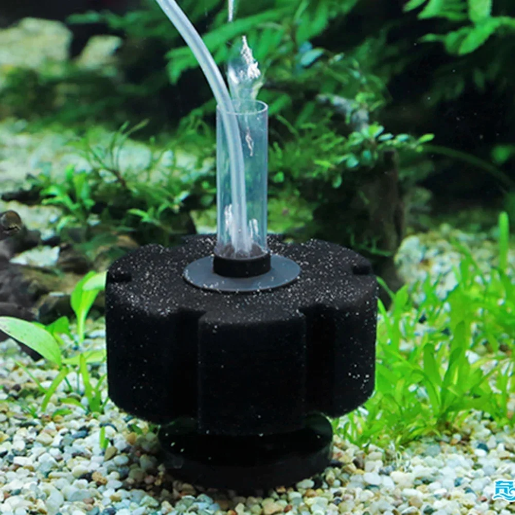 Aquarium Filter Schwamm Für Aquarium Luftpumpe Skimmer Biochemischen – Bild 5