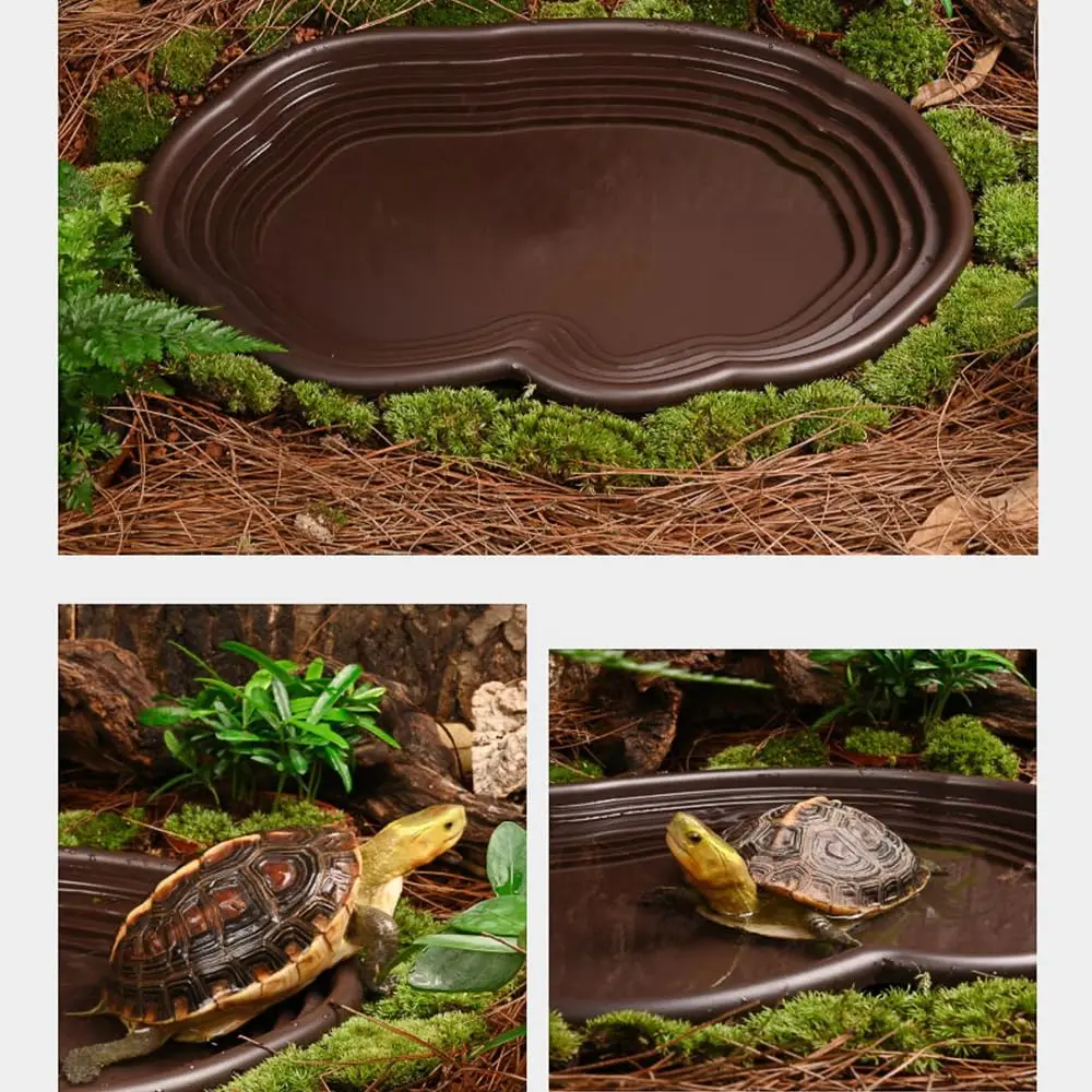 Reptilien-Badeschale, Amphibien-Lebensraum – Bild 5